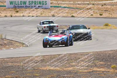 media/Oct-25-2025-West Coast Racing (Sat) [[9fdcbcd09c]]/Yellow group/Turn 4/